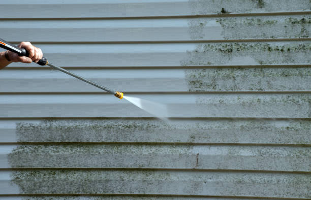 Best Local Pressure Washing Services  in Fairfield, IL